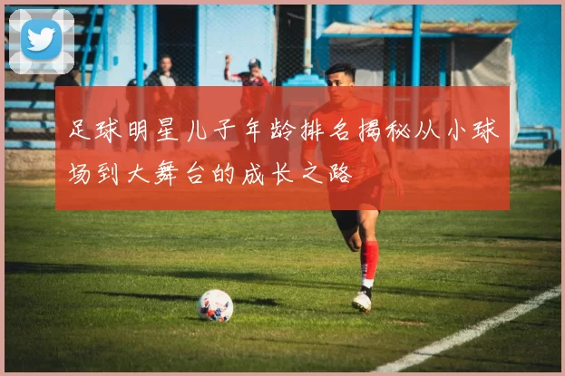 足球明星儿子年龄排名揭秘从小球场到大舞台的成长之路