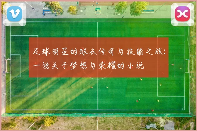 足球明星的球衣传奇与技能之旅：一场关于梦想与荣耀的小说